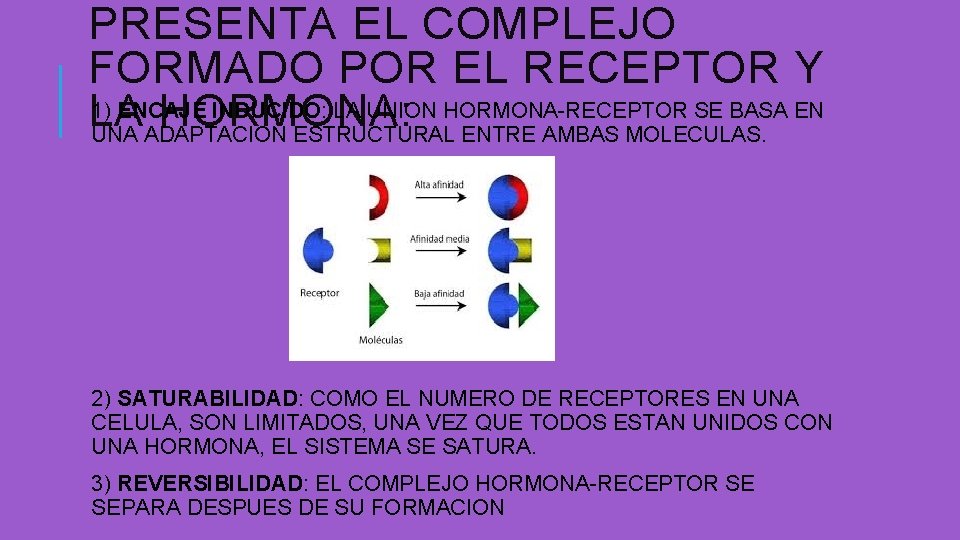PRESENTA EL COMPLEJO FORMADO POR EL RECEPTOR Y 1) ENCAJE INDUCIDO: LA UNION HORMONA-RECEPTOR PRESENTA EL COMPLEJO FORMADO POR EL RECEPTOR Y 1) ENCAJE INDUCIDO: LA UNION HORMONA-RECEPTOR