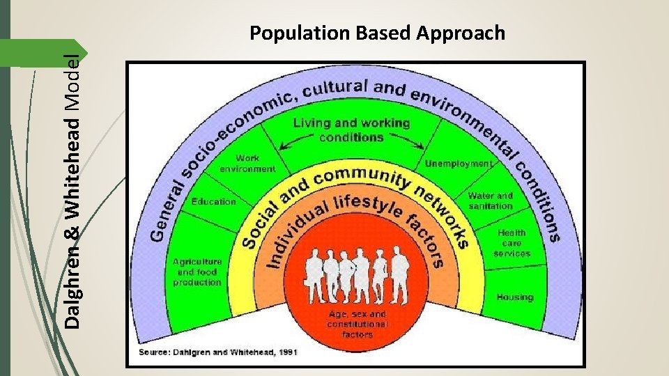 Dalghren & Whitehead Model Population Based Approach 