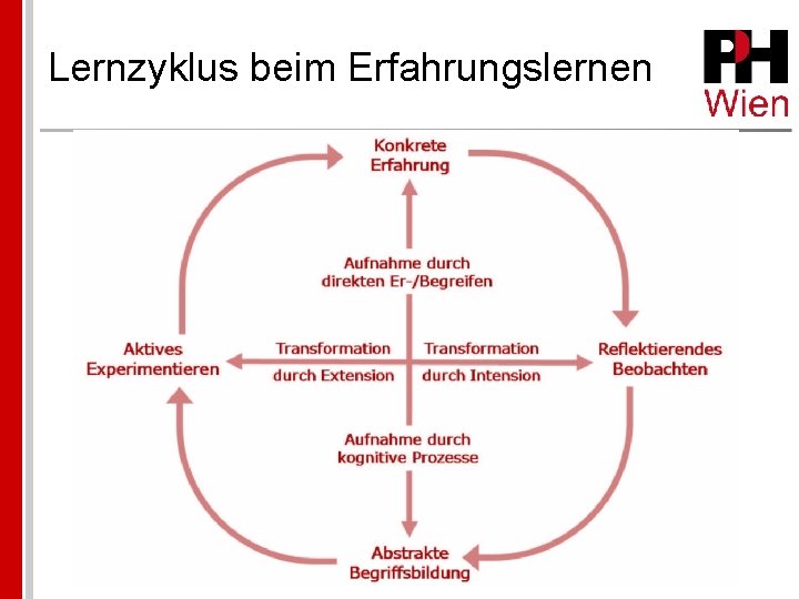 Lernzyklus beim Erfahrungslernen 