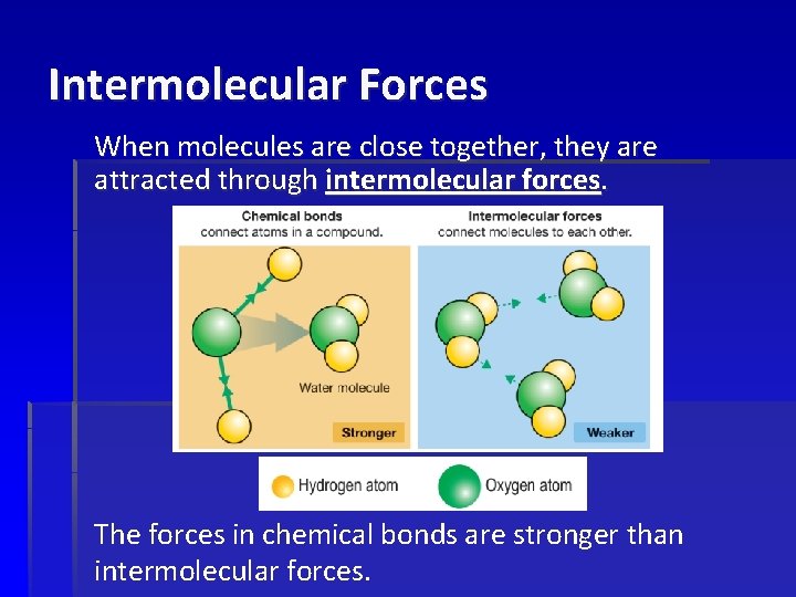 Intermolecular Forces When molecules are close together, they are attracted through intermolecular forces. The