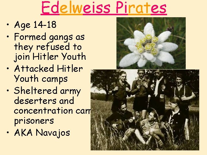 Edelweiss Pirates • Age 14 -18 • Formed gangs as they refused to join