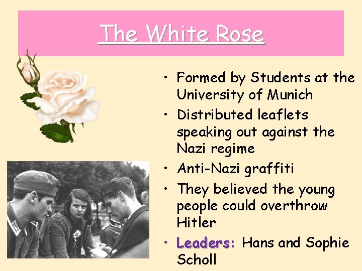 The White Rose • Formed by Students at the University of Munich • Distributed