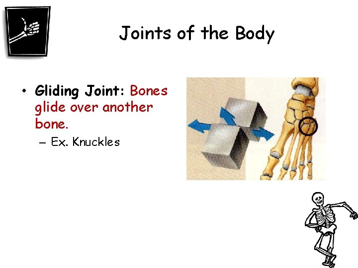 Joints of the Body • Gliding Joint: Bones glide over another bone. – Ex.