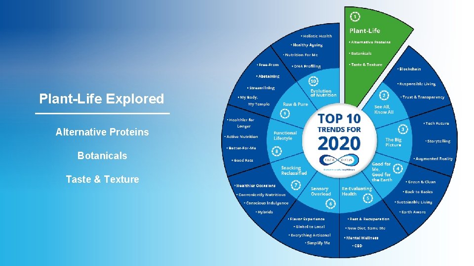 Plant-Life Explored Alternative Proteins Botanicals Taste & Texture 