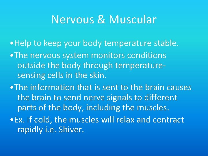 Nervous & Muscular • Help to keep your body temperature stable. • The nervous