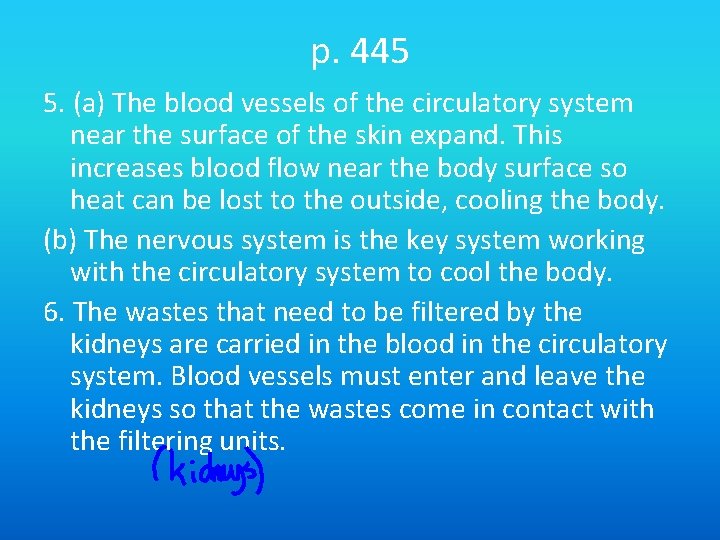 p. 445 5. (a) The blood vessels of the circulatory system near the surface