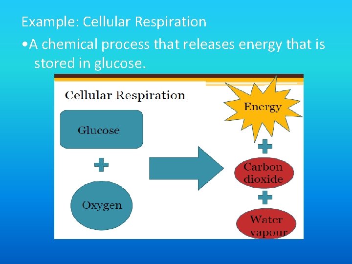 Example: Cellular Respiration • A chemical process that releases energy that is stored in