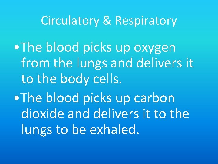 Circulatory & Respiratory • The blood picks up oxygen from the lungs and delivers