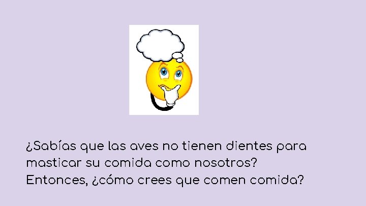 ¿Sabías que las aves no tienen dientes para masticar su comida como nosotros? Entonces,