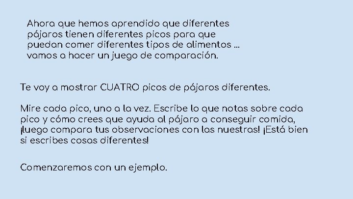 Ahora que hemos aprendido que diferentes pájaros tienen diferentes picos para que puedan comer