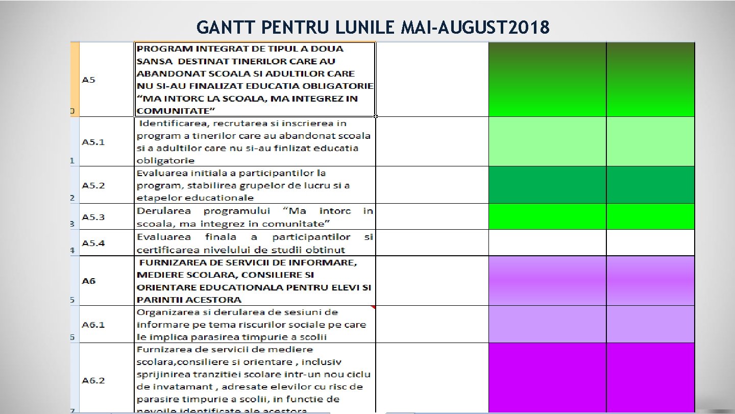 GANTT PENTRU LUNILE MAI-AUGUST 2018 