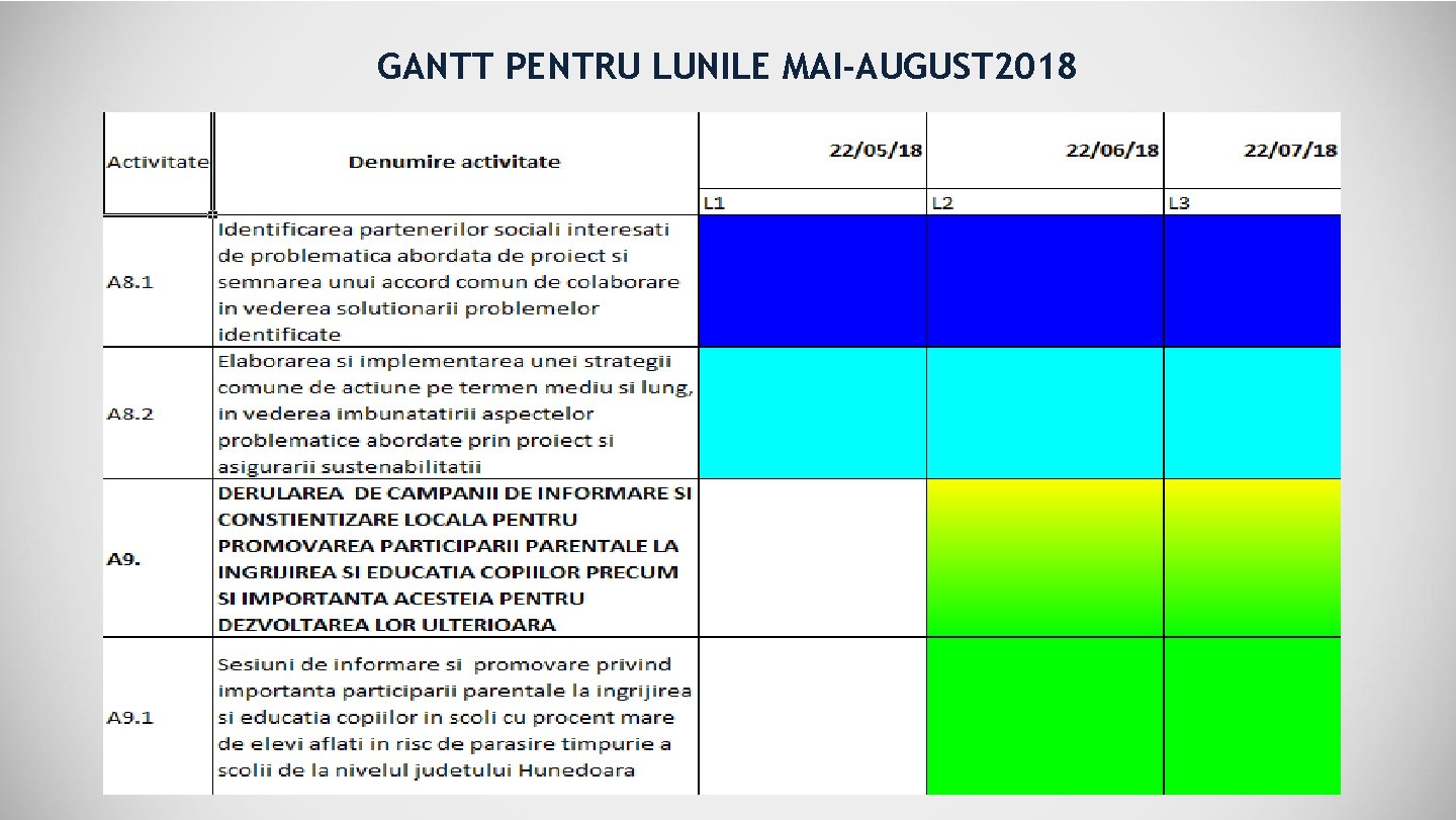 GANTT PENTRU LUNILE MAI-AUGUST 2018 