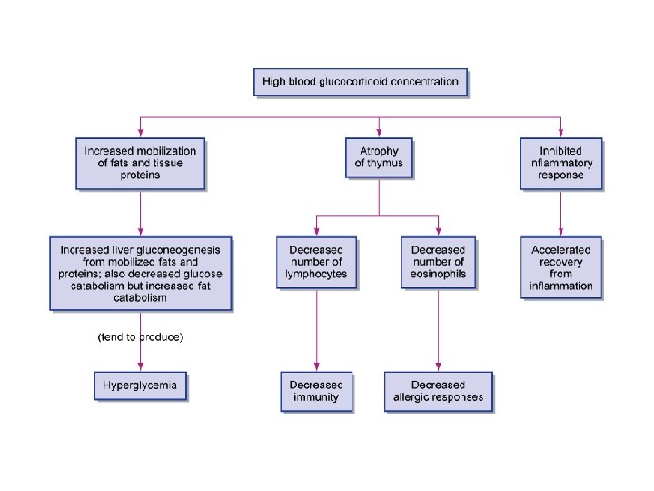 ADRENAL GLANDS FIGURE 10 9 Adrenal cortex Names