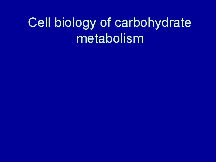 Cell biology of carbohydrate metabolism 