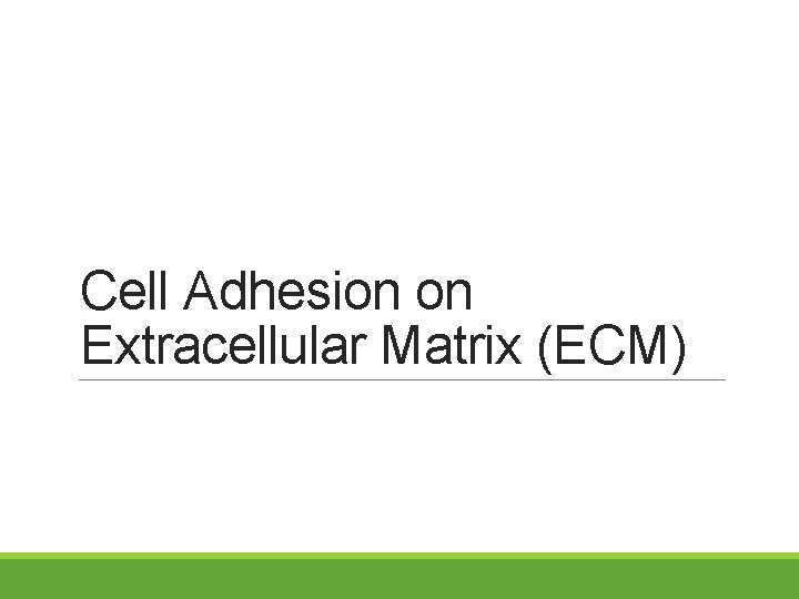 Cell Adhesion on Extracellular Matrix ECM Cells surrounded