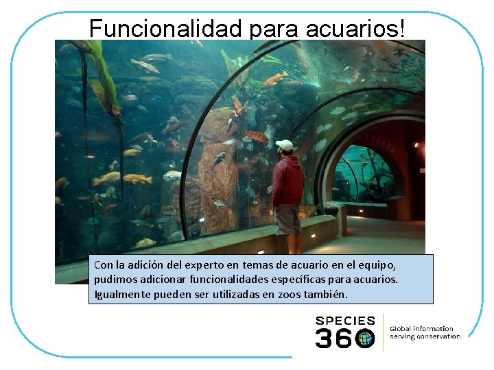 Funcionalidad para acuarios! Con la adición del experto en temas de acuario en el