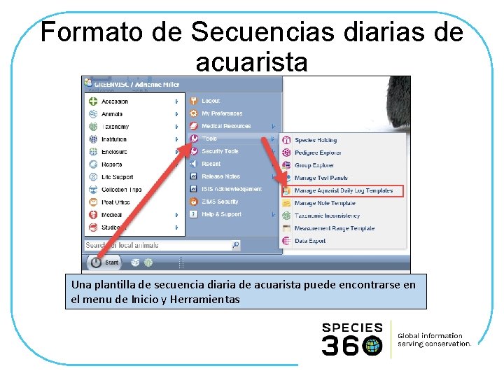 Formato de Secuencias diarias de acuarista Una plantilla de secuencia diaria de acuarista puede