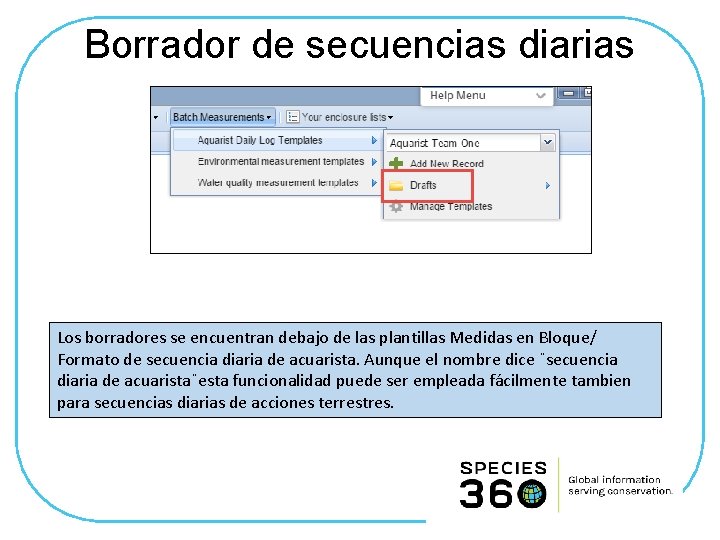 Borrador de secuencias diarias Los borradores se encuentran debajo de las plantillas Medidas en