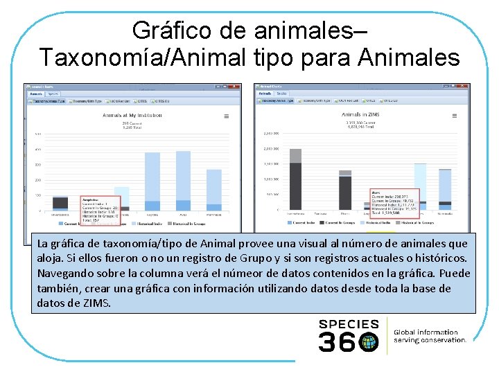 Gráfico de animales– Taxonomía/Animal tipo para Animales La gráfica de taxonomía/tipo de Animal provee