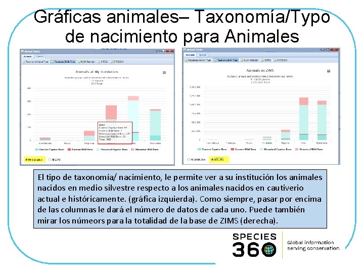 Gráficas animales– Taxonomía/Typo de nacimiento para Animales El tipo de taxonomía/ nacimiento, le permite