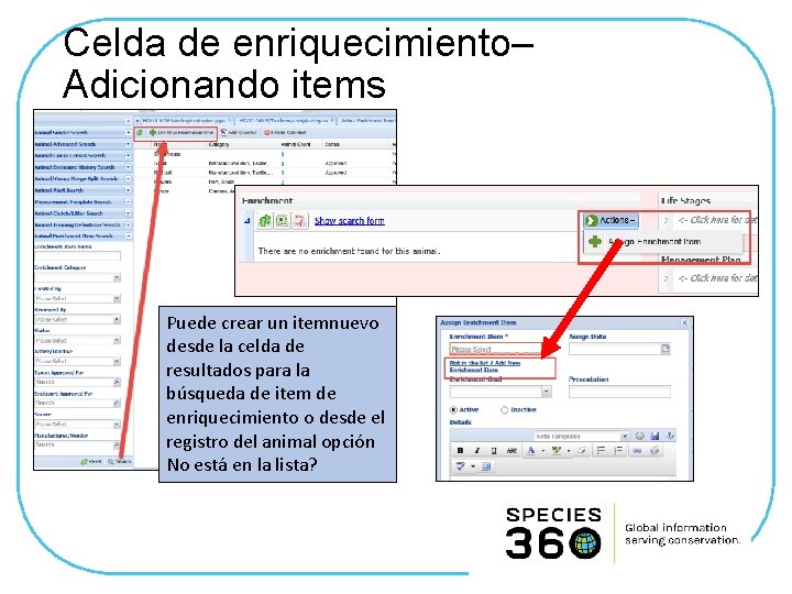 Celda de enriquecimiento– Adicionando items Puede crear un itemnuevo desde la celda de resultados