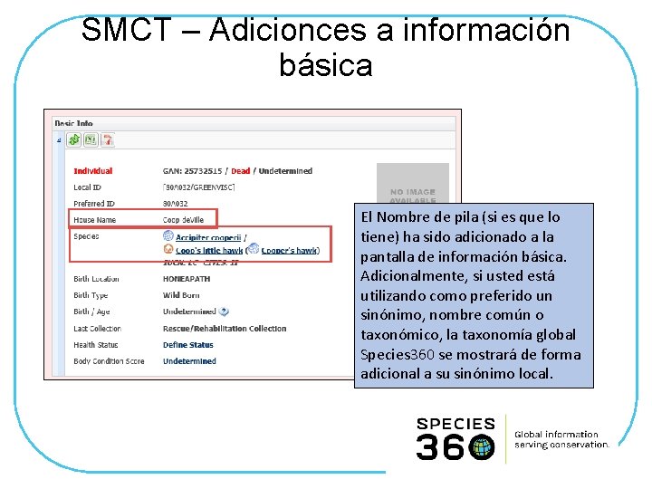 SMCT – Adicionces a información básica El Nombre de pila (si es que lo