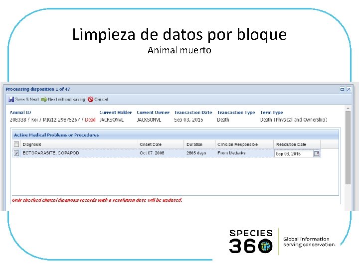 Limpieza de datos por bloque Animal muerto 