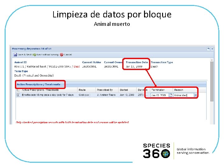 Limpieza de datos por bloque Animal muerto 