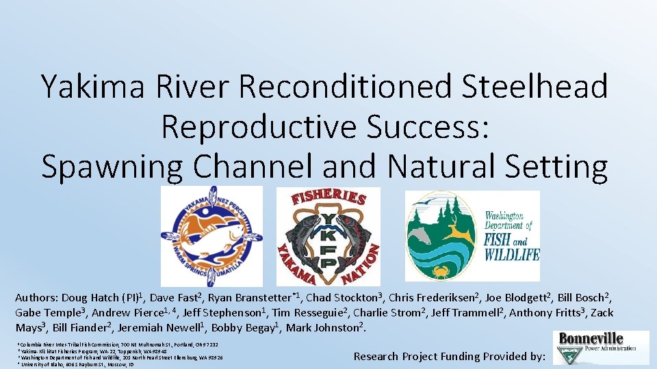 Yakima River Reconditioned Steelhead Reproductive Success: Spawning Channel and Natural Setting Authors: Doug Hatch
