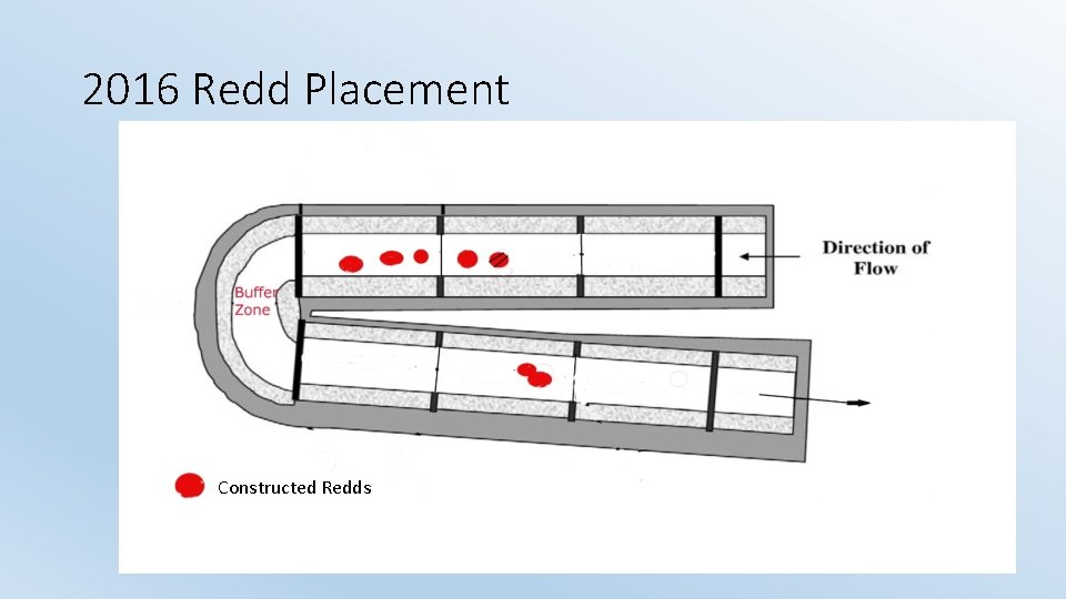 2016 Redd Placement Constructed Redds 