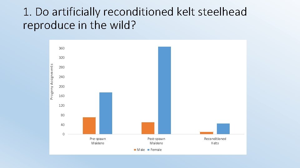 1. Do artificially reconditioned kelt steelhead reproduce in the wild? 360 Progeny Assignments 320