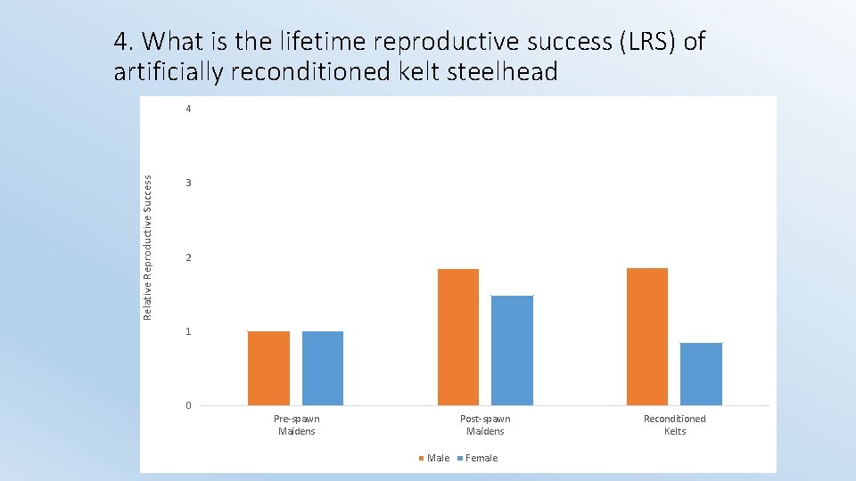 4. What is the lifetime reproductive success (LRS) of artificially reconditioned kelt steelhead Relative