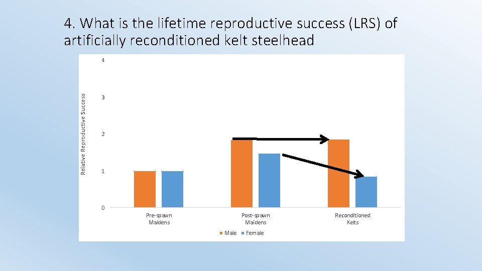 4. What is the lifetime reproductive success (LRS) of artificially reconditioned kelt steelhead Relative