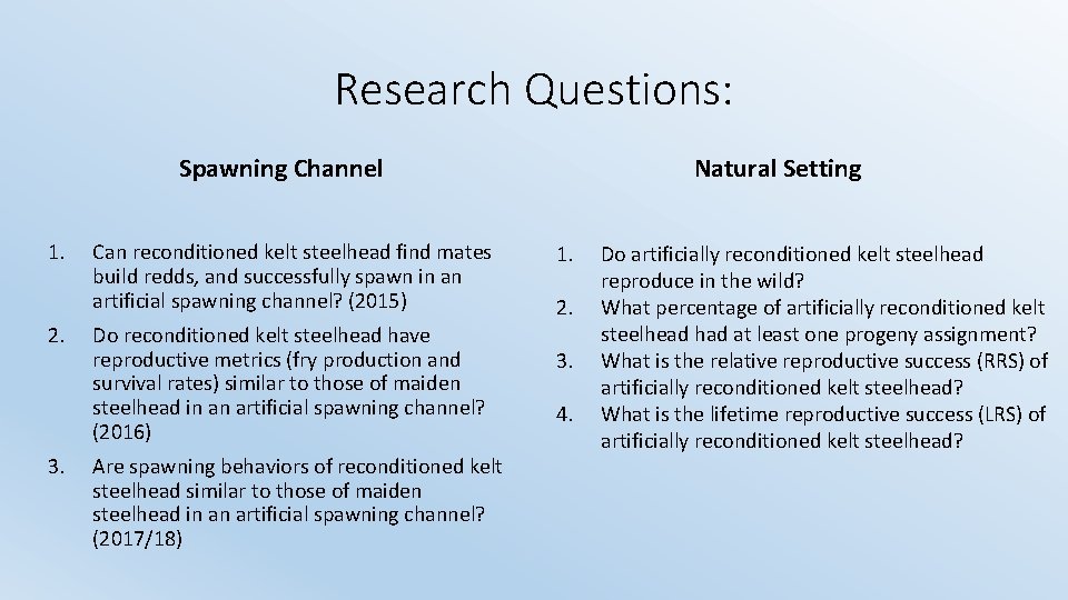 Research Questions: Spawning Channel 1. 2. 3. Can reconditioned kelt steelhead find mates build