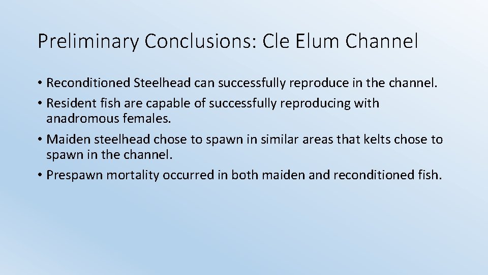 Preliminary Conclusions: Cle Elum Channel • Reconditioned Steelhead can successfully reproduce in the channel.