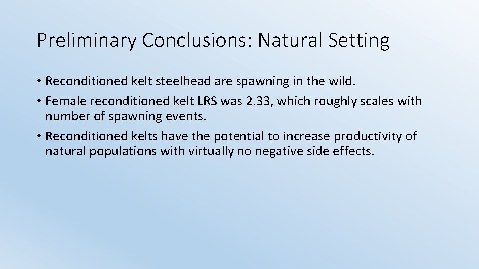 Preliminary Conclusions: Natural Setting • Reconditioned kelt steelhead are spawning in the wild. •