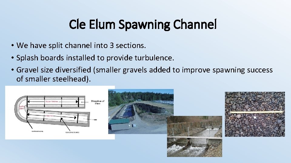 Cle Elum Spawning Channel • We have split channel into 3 sections. • Splash