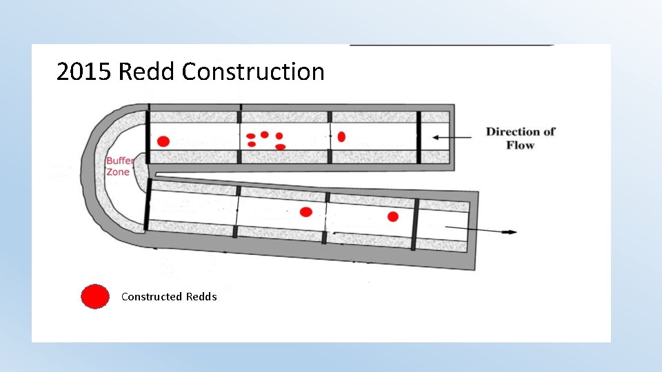 2015 Redd Construction Constructed Redds 