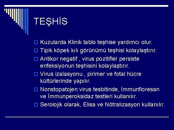 Siirlarin Rhnovrus Enfeksyonlari O Buza Ve Yetikin Srlarda