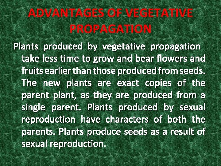 Reproduction In Plants Modes Of Reproduction To Produce