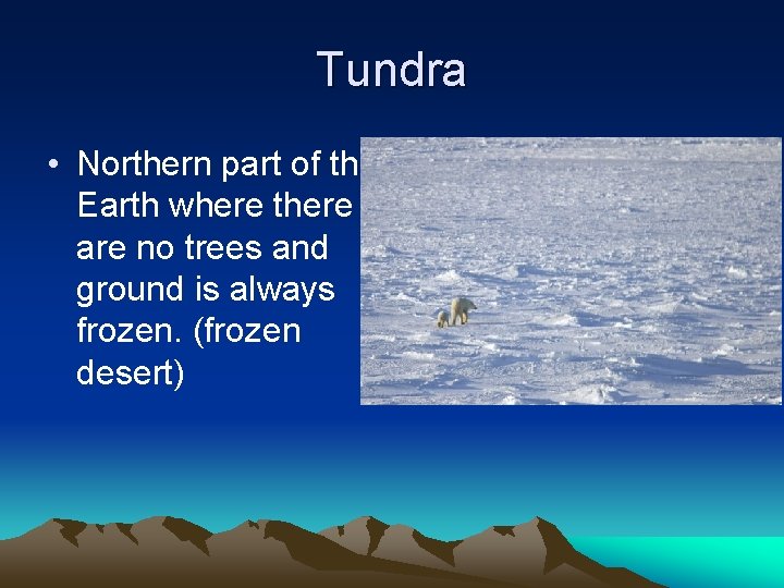 Tundra • Northern part of the Earth where there are no trees and ground