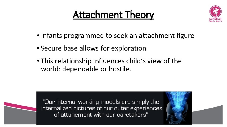 Attachment Theory • Infants programmed to seek an attachment figure • Secure base allows