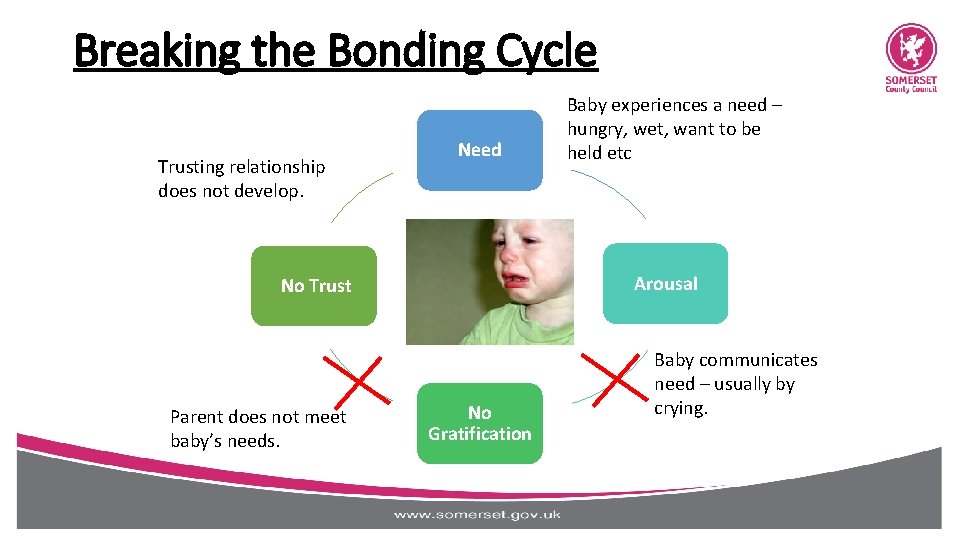 Breaking the Bonding Cycle Trusting relationship does not develop. Need Arousal No Trust Parent