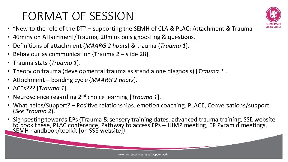 FORMAT OF SESSION “New to the role of the DT” – supporting the SEMH