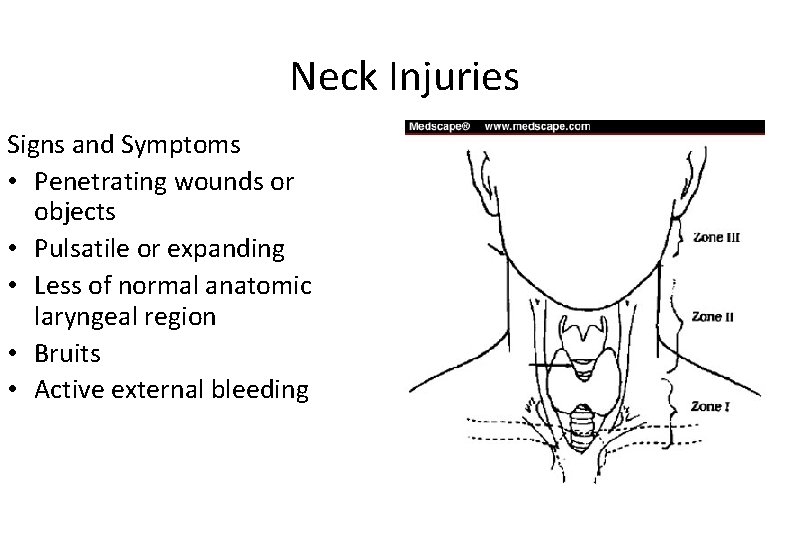 Neck Injuries Signs and Symptoms • Penetrating wounds or objects • Pulsatile or expanding