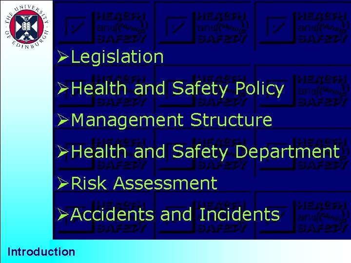 ØLegislation ØHealth and Safety Policy ØManagement Structure ØHealth and Safety Department ØRisk Assessment ØAccidents