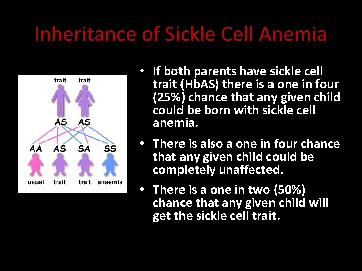 Inheritance of Sickle Cell Anemia • If both parents have sickle cell trait (Hb.