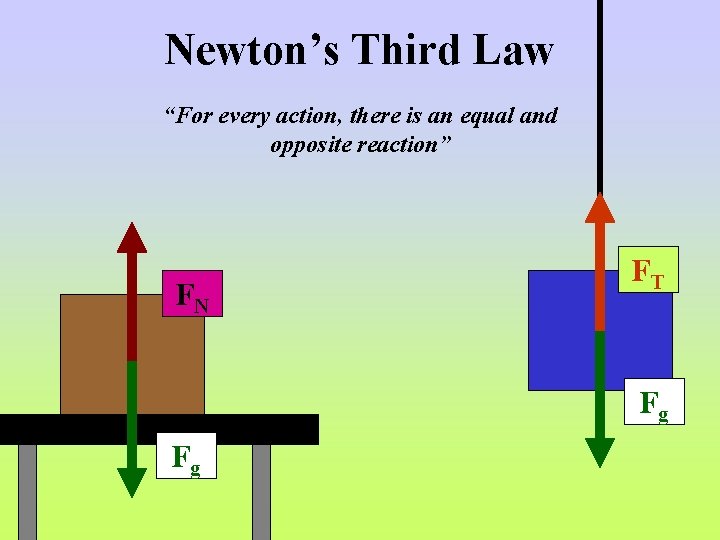 Newton’s Third Law “For every action, there is an equal and opposite reaction” FN