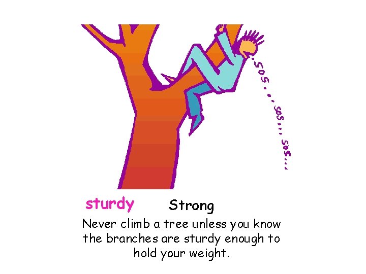 sturdy Strong Never climb a tree unless you know the branches are sturdy enough