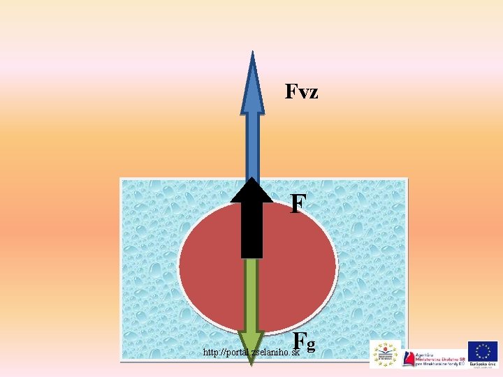 Fvz F Fg http: //portal. zselaniho. sk 